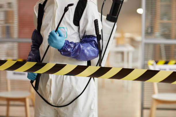 Professional Sewage Cleanup technician working in Stockton, MO